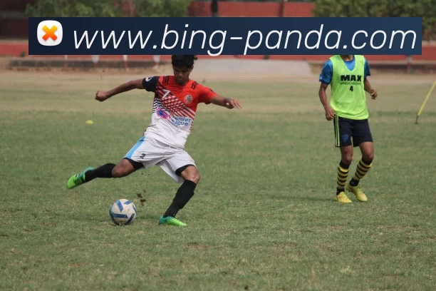 熊猫体育发展历程